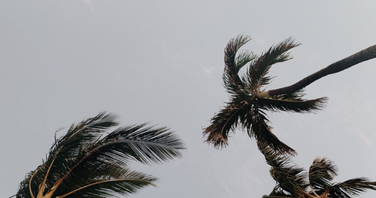 Travelogue: San Diego-Libs 320A