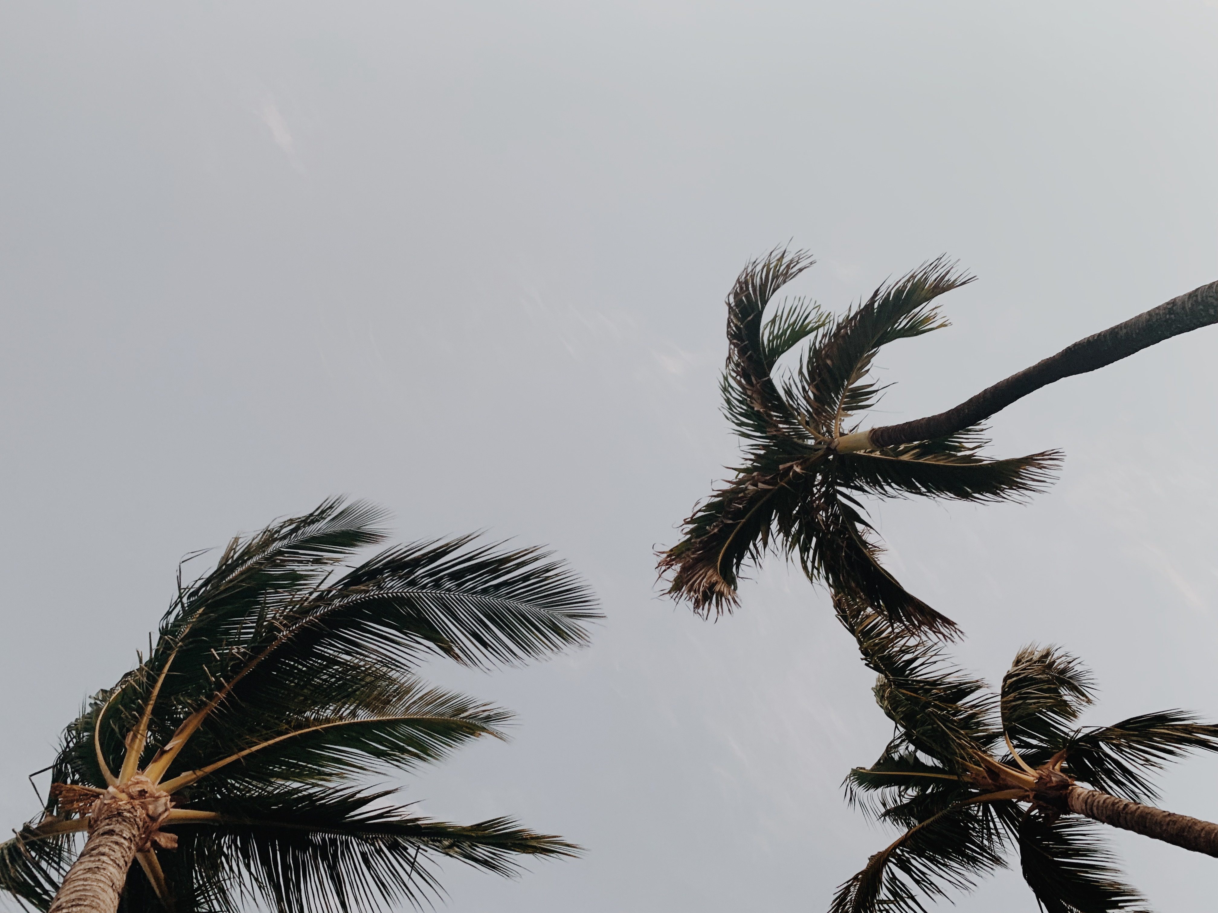 Travelogue: San Diego-Libs 320A